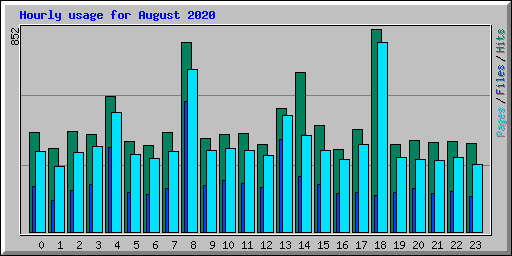 Hourly usage for August 2020