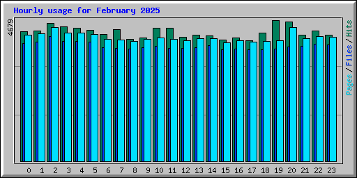Hourly usage for February 2025