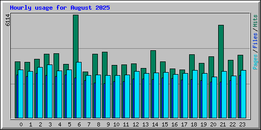 Hourly usage for August 2025
