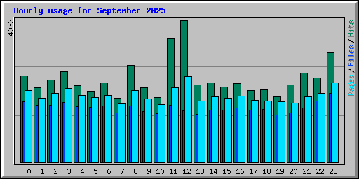 Hourly usage for September 2025