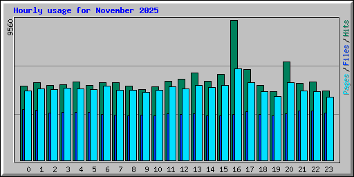 Hourly usage for November 2025