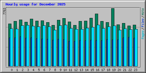 Hourly usage for December 2025