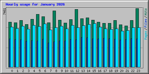 Hourly usage for January 2026